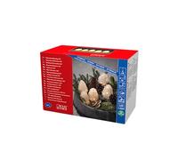 Konstsmide Outdoor Christmas Decorations/Outside Lights LED Acrylic Decoration Five Pine Cones/Outdoor Lighting (IP44) / 40 Warm White LEDs/Transparent Cable