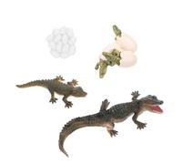 KONTONTY 1 Set Alligator Life Cycle Figure Educational for Early Learning Realistic Model for Engaging Growth Stages Prop for Cognitive Development
