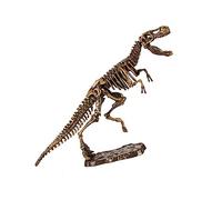 KONTONTY 1Set Dinosaur Excavation Kit for Dinosaur Skeleton DIY Model Creative Archaeology for Educational Play for Parties and Imaginative Learning Activities