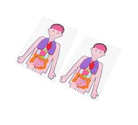 KONTONTY 2 Sets DIY Human Organs Plaything Educational Model for Easy Assembly Biology Teaching Aid High Grade Material Science Learning for Preschool and School