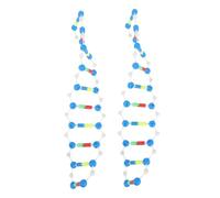 KONTONTY 2pcs Molecular Model Kit Dna Double Helix Structure Kit for Students Learning Genetics