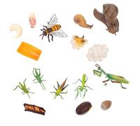 KONTONTY 4 Sets Insect Growth Cycle Model Educational Evolution Figurines Miniature Bee Mantis Locust Snail for Rooms Science Classrooms Museums