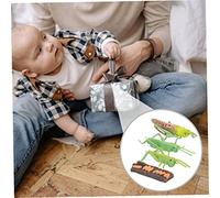 KONTONTY Animal Growth Cycle Model for Educational Realistic Insect Life Stages Figures Preschool Learning Tool for Science Teaching and Storytelling