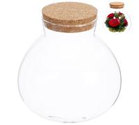 KONTONTY Glass Terrarium Jar for Moss and Micro-landscape Plants with Cork Lid Multi-purpose Sealed Container Made of Glass and Cork, for Home Decoration and DIY Projects