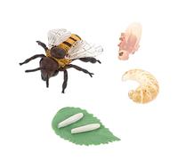 KONTONTY Honey Bee Growth Cycle Model Cognitive Educational for Figurines Learning Biological Phases and Home Decoration
