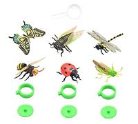 KONTONTY Insect Model Realistic Cognitive Learning Animal Figures for Early Education for Kindergartens and Family Play Inspires Imagination and Exploration