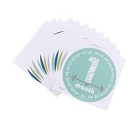 KONTONTY Milestone Stickers Photo Prop Kit Belly Sticker Set Announcement Ideas 1-12 Month Milestones