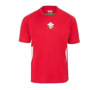 KooGa Wales Supporters T-Shirt Mens M Wales