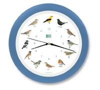 KOOKOO Singvogel sky-blue, singing birdclock includes 12 genuine original field recordings from native songbirds