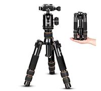Koolehaoda Mini Camera Tripod with 360° Ball Head Aluminum Alloy 55cm Portable Desktop Travel Tripod for DSLR Camera Video Camcorder, Maximum Load 10kg
