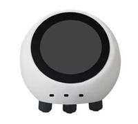 Koolenry 1.28 Inch LCD AI Voice Chat Robot Ball ESP32-S3 Development Board Smart Sp Home Assistant Weather Station