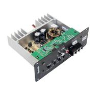 Koolenry 12V Full Tone Pure Bass 800W Car Subwoofer Core Amplifier Board High Power Subwoofer Amplifier with Bluetooth