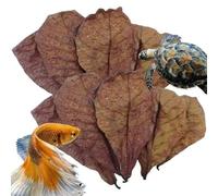 Koolenry For Fish Tank Pond& Aquarium Compatible Almondleaves for Reduce PH Softened Purified Water Quality Catappa Leaves Indian Leaves