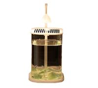 Koolenry Mini Desktop Glass Aquarium Fish Tank with Colored Crystal LED Lamp Desktop Ornaments High-End Glass Lamp Green Crystal Stone
