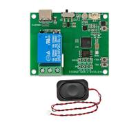 Koolenry Onboard Microphone Amplifier Speaker ESP32-AI 1 Way Voice Control Relay Module Voice Recognition TYPE-C Interface