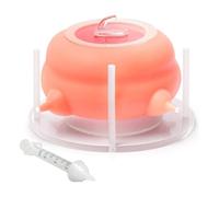 Koolenry Pet Feeder Bottle Puppy Nursing Station Puppy Feeders for Multiple Puppies Puppy for All Breed of Puppies,Kittens