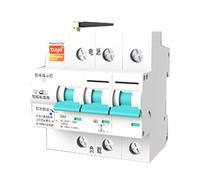 Koolenry Tuya WIFI Smart Circuit Breaker MCB Smart Life Remote Control Short Circuit Protection Timed Circuit Breaker 63A 3P