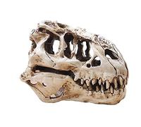 Koolouispoper T-Rex Skull Dinosaur Resin Craft Gifts Home Decor Replica Fish Tank Statue Tyrannosaur Skull Skeleton Aquarium Decoration (B)