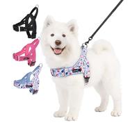 KOOLTAIL Dog Harness No Pull,Easy Walk Pet Harness,Escape Proof&Adjustable Vest Harness with Soft Handle and Breathable Mesh Padding for Small Medium Large Dogs,Training Walking Blue L