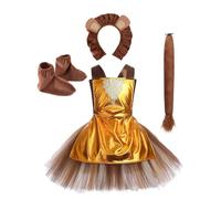 Koongso Girls Dorothy Lion Scarecrow Tin Man Costume, Oz Book Movie Role Play Tutu Dress with Accessory for World Book Day Halloween Birthday Party Stage