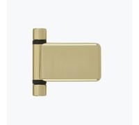 Kooples Hardware Classic Flag Hinge for PVCu Doors Adjustable Lift Off High Security Design (Hardex Gold, 20mm)
