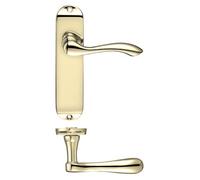 KOOPLES HARDWARE Project Arundel Lever on Latch Backplate - 175mm x 42mm - Satin Stainless Steel Interior Door Handle - Modern Commercial Style - Fixings Included (Electro Brass)