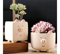 Koowants 2PCS Small Size Succulent Pig Plant Pot,Animal Ceramic Planters Pots with Drainage Hole,Cute Pig Planters for Indoor Plants,Piggy Flowers Pots Succulent Planters for Home Desktop Decoration