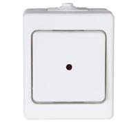 Kopp 564602001 Surface-Mounted Control Switch for Damp Locations with Lens and Installed Glow Lamp IP44 Standard