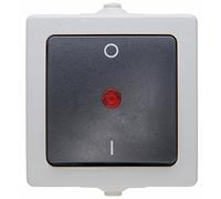 Kopp 565296007 2-Pole Illuminated Surface-Mount Switch