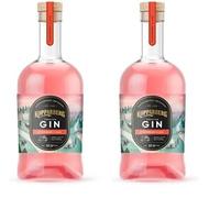 Kopparberg Gin Strawberry & Lime, 70cl (Pack of 2)