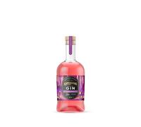 Kopparberg Premium Gin Mixed Fruit, 70cl