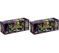 KOPPARBERG WINTER PUNCH Fruit Cider 10 x 330ml CAN (Pack of 2)