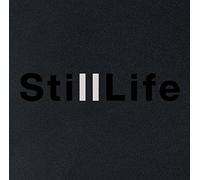 Koppel/Dam Thomsen - Anders Koppel and Henrik Dam Thomsen: Still Life