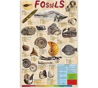 KOPUTE Animal Infographic Metal Signs Wall Decor Aluminium Poster Biology Knowledge Reading Posters Home Bar Kitchen Coffee Man Cave Garage Wall Decor Art Tin Sign 5.5x8 Inch