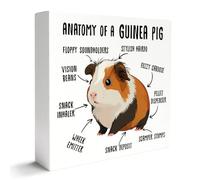KOPUTE Guinea Pig Lover Decor Wooden Box Sign, Funny Guinea Pig Desk Decoration for Home, Vision Beans, Guinea Pig Lover Gifts, Guinea Pig Mom Dad Owner Gifts 5 x 5 Inches