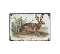 KOPUTE Hare Print, Antique Animal Painting, Vintage Drawing tin sign Wall Art Decor, California Hare, Decor Antique Prints,Retro style, farmhouse decoration,bar, garage, tin sign 14X20cm