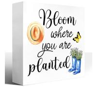 KOPUTE Rustic Spring Wood Block Signs,Bloom Where You are Planted Wooden Box Sign for Home Shelf Bedroom Tabletop Desk Decor,Farmhouse Sign Decor 5 x 5 Inches