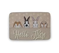 KOPUTE Welcome To The Rabbit House Doormat, Hello There Bunny Doormat, Decorative Mat, Spring Decor,Funny Mat,Indoor Doormat,Front Back Door Mat 43x76cm
