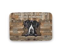 KOPUTE When Visiting My House Mat, Great Dane Rug, Gift For Dog Lovers, Dog Doormat Coral Velvet Rug,Funny Doormat, Home Decor, Welcome Mat,Indoor Doormat,Front Back Door Mat 43x76 cm
