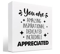 KOPUTE You Are Absolutely Positively Incredibly Appreciated Wood Block Sign Desk Decor,Inspirational Rainbow Wooden Box Plaque Sign Desk Decor for Home Office Shelf Table 5 x 5 Inches