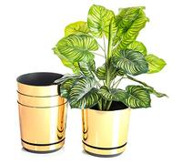 KORAD Planters Set of 4 Shiny Gold 16 cm Decorative Planters 16 cm Size for Flowers, Herbs, Plant Compositions OSL 16/111 x4