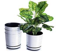 KORAD Set of 4 White Plant Pots with Stripes 16 cm Decorative Planters 16 cm for Flowers, Herbs, Plant Compositions OSL 16/171 x4