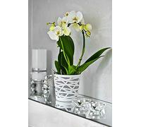 KORAD Sophie Flowerpot - Indoor Plant Pot Without Drainage Holes - Modern Round Plastic Planter for Home, Office, Garden - Various Sizes & Colours- (Grey, Ø 15 cm (5.90 inch))