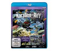 Korallenriff HD
