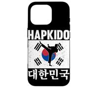 Korean Martial Arts Hapkido Case for iPhone 16 Pro