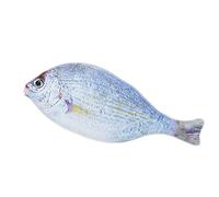 Korean Stationery Simulation Fish Pencil Case Personalised Ball Pencil Case 25.2 * 9.8CM Whitebait Stylish and PopularDurability