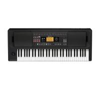Korg - EK-50L Digital Keyboard with 61 Touch Sensitive Keys - Deluxe Model - Black