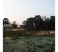 Korwar, Sarathy - KALAK