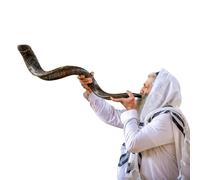Kosher Kudu Shofar Horn of Israel 39-41 Inches Traditional Half Polished Kudu Shofar Holy Voice Easy to Blow Ancient Jewish Musical Instrument