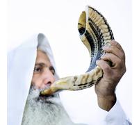 Kosher Ram Shofar Horn from Israel Traditional Half Polished Ram Shofar Holy Land Easy Blowing Ancient Jewish Musical Instrument Smooth Mo